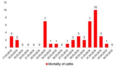 Blackleg in Cattle in the Irkutsk Region